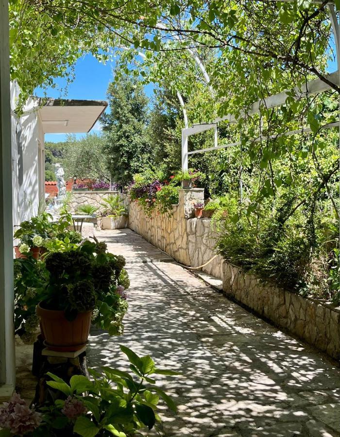 Apartament Gorana Apartman With Swimming Pool Jelsa  Zewnętrze zdjęcie