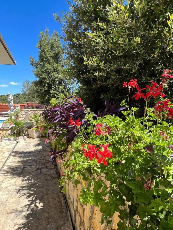 Apartament Gorana Apartman With Swimming Pool Jelsa  Zewnętrze zdjęcie